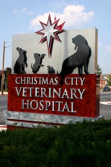 city vet care